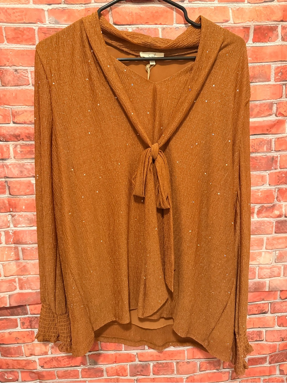 easel Rust Sparkle Tie-Neck Blouse